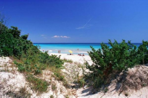 Villa Palma a 80m dal mare
